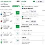 forecast bet calculator online